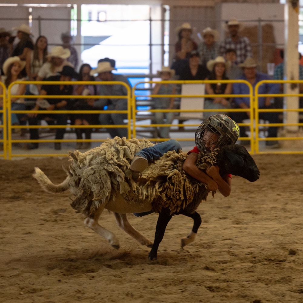 Rodeo Infantil