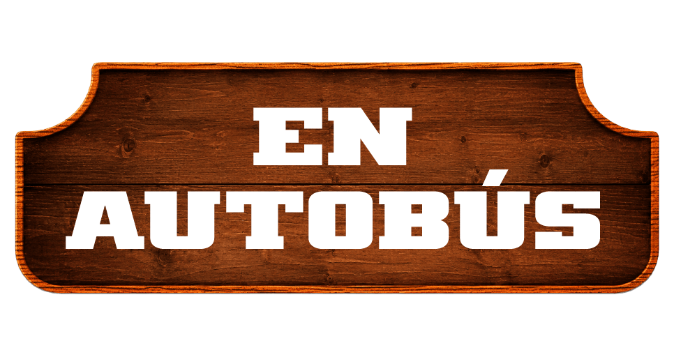 Cómo llegar en autobús