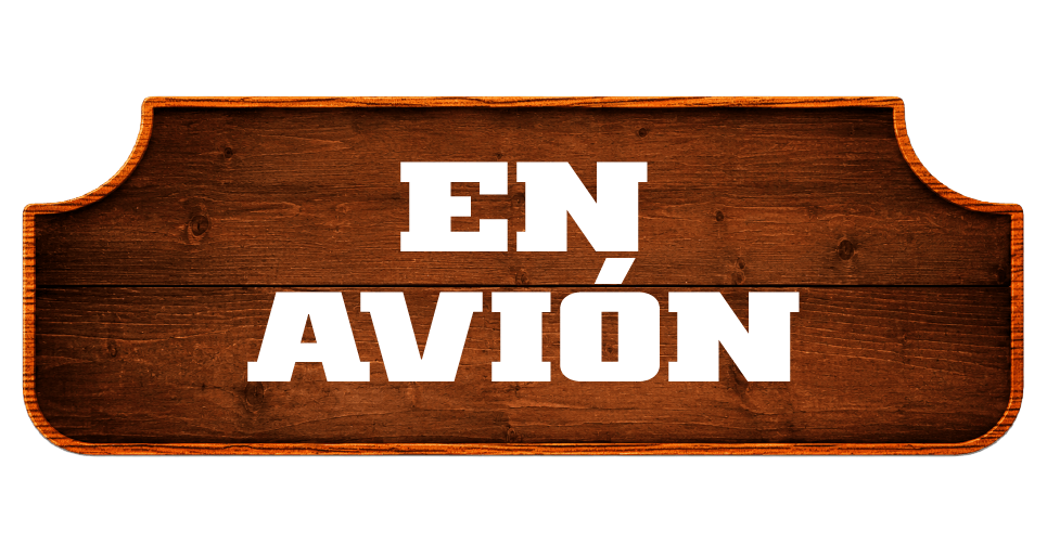 Cómo llegar en avión